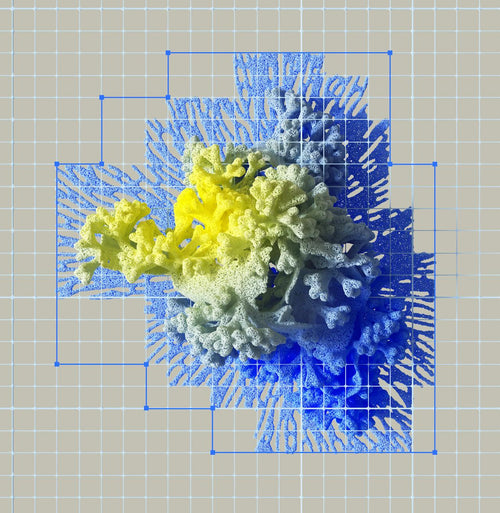 Abstract 3D coral-like structure in yellow and blue, layered over a digital grid with vector anchor points.